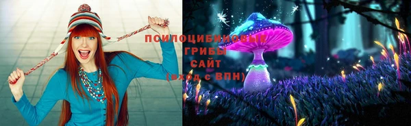 твердый Белокуриха