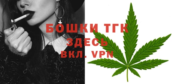 молекула духа Сосновка