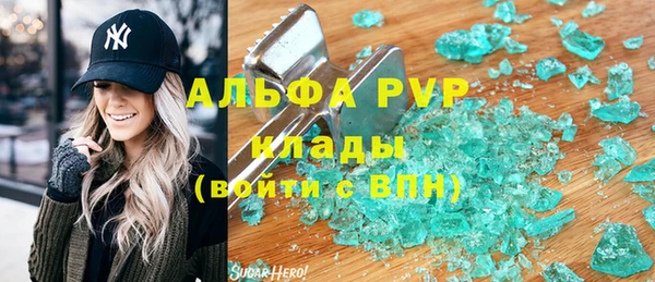 индика Белоозёрский