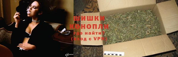 индика Белоозёрский