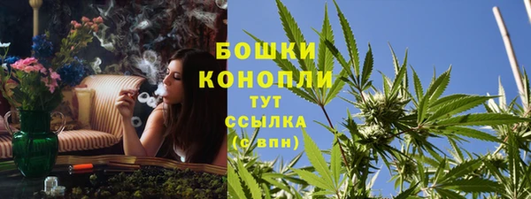индика Белоозёрский