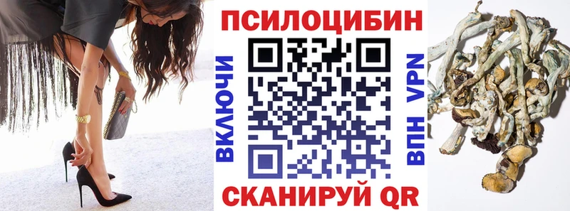 блэк спрут как войти  Велиж  Галлюциногенные грибы мухоморы 