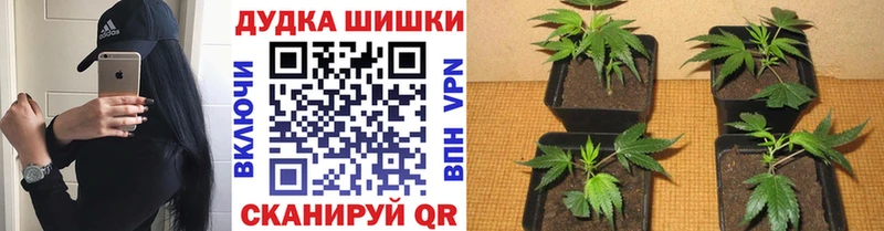 Канабис THC 21% Велиж
